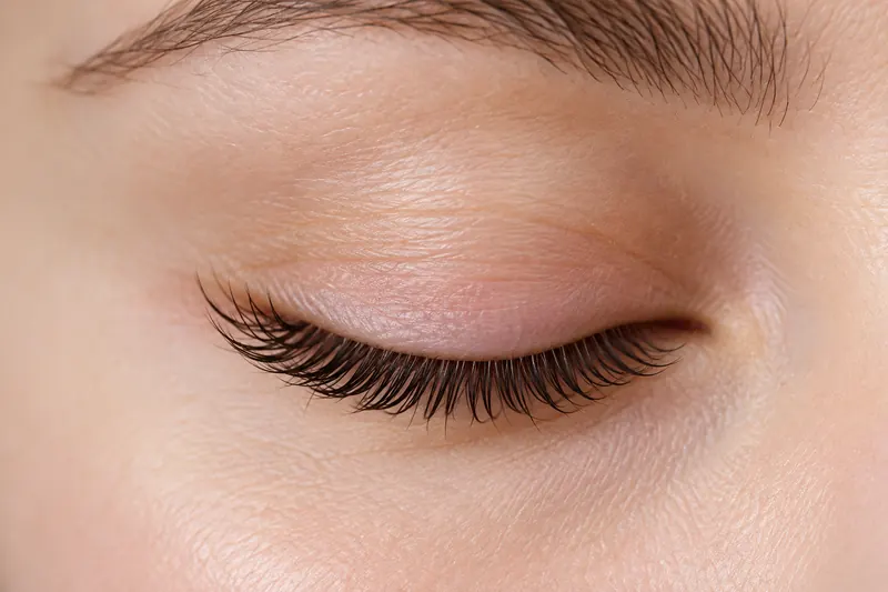 Naturally lifted lashes (illustration)